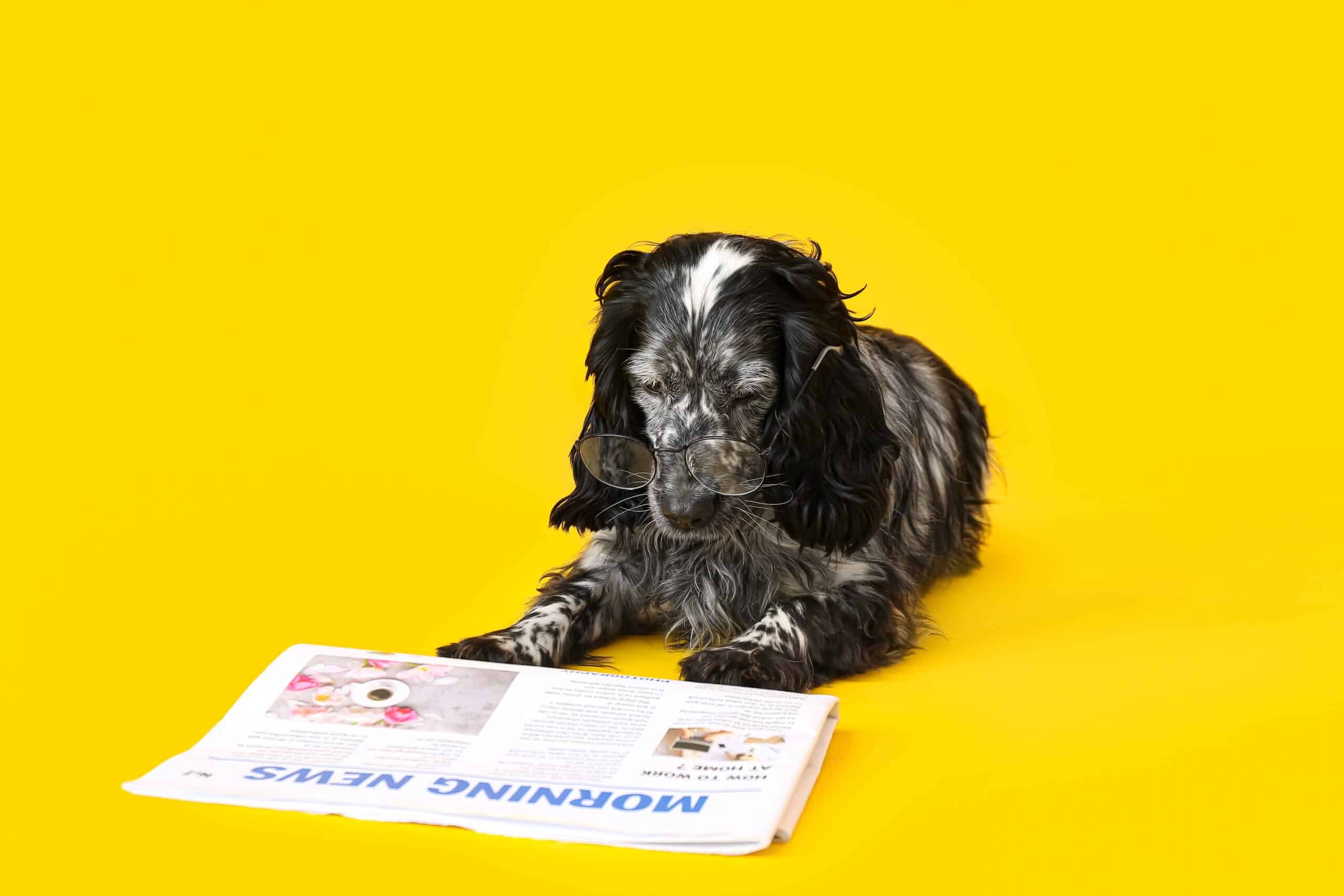 Guide to using Experian 2024