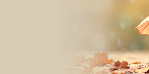 piggy bank with yellow umbrella above it on a pile of leaves