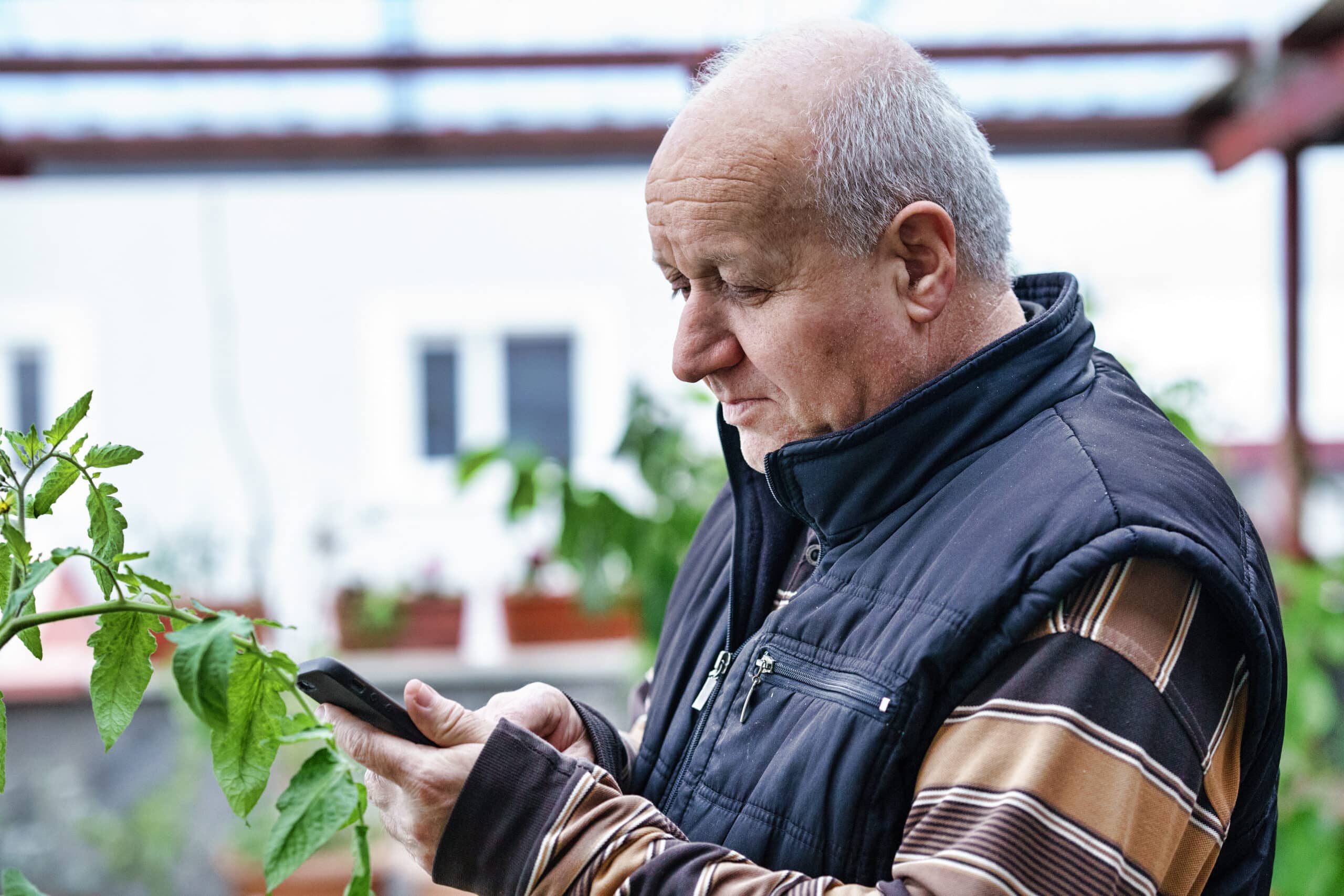 IVA vs DMP: Which is right for you?