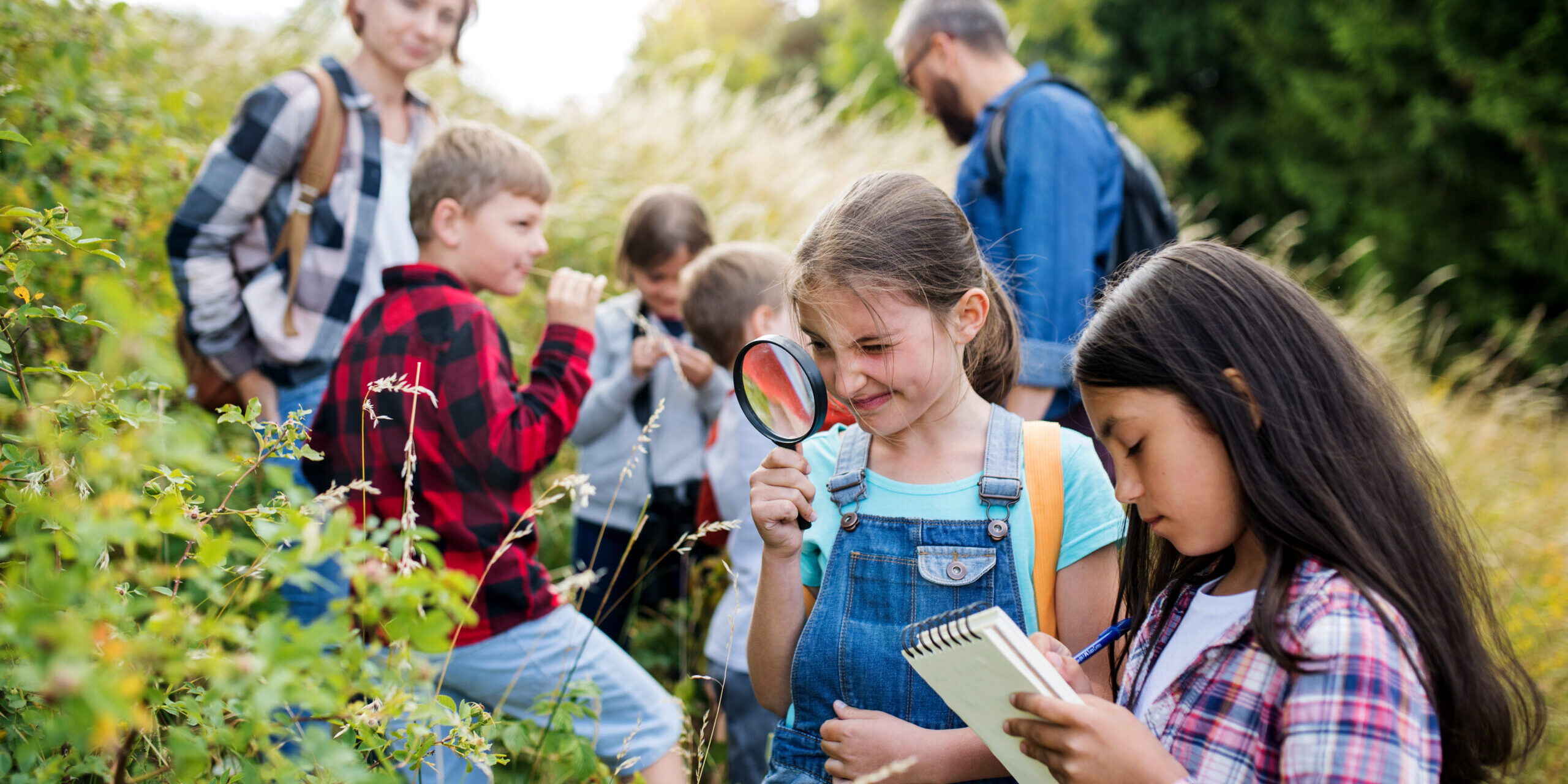 Children on a school trip looking at flowers